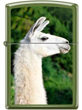 Llama Face Moss Green Zippo Lighter